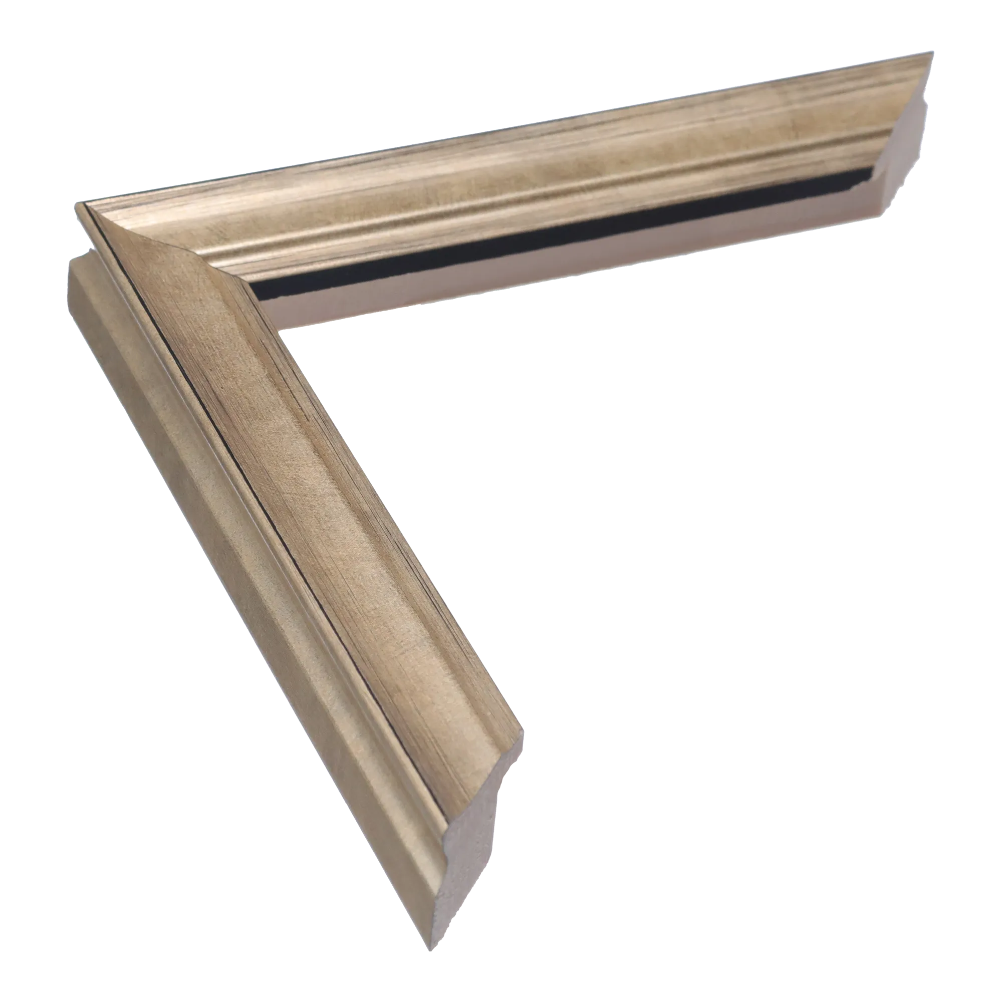 Monarch in champagne picture frame