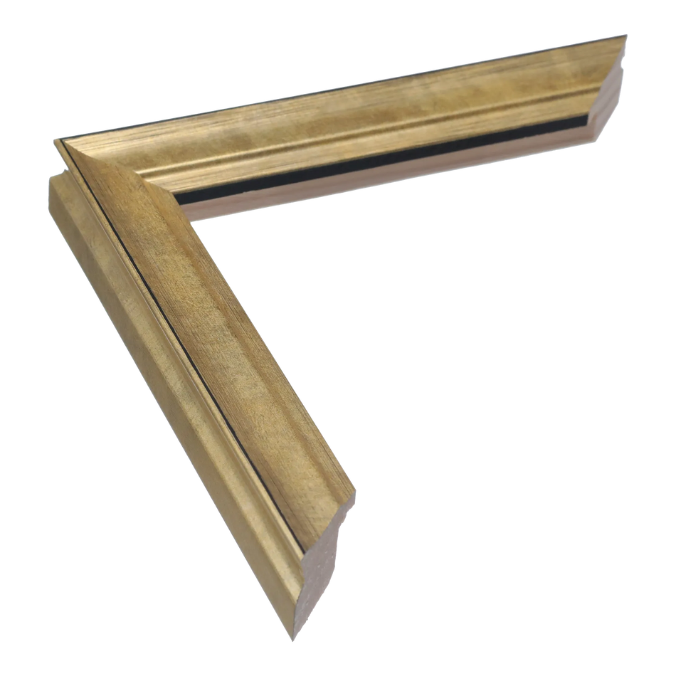 Monarch in soft gold picture frame