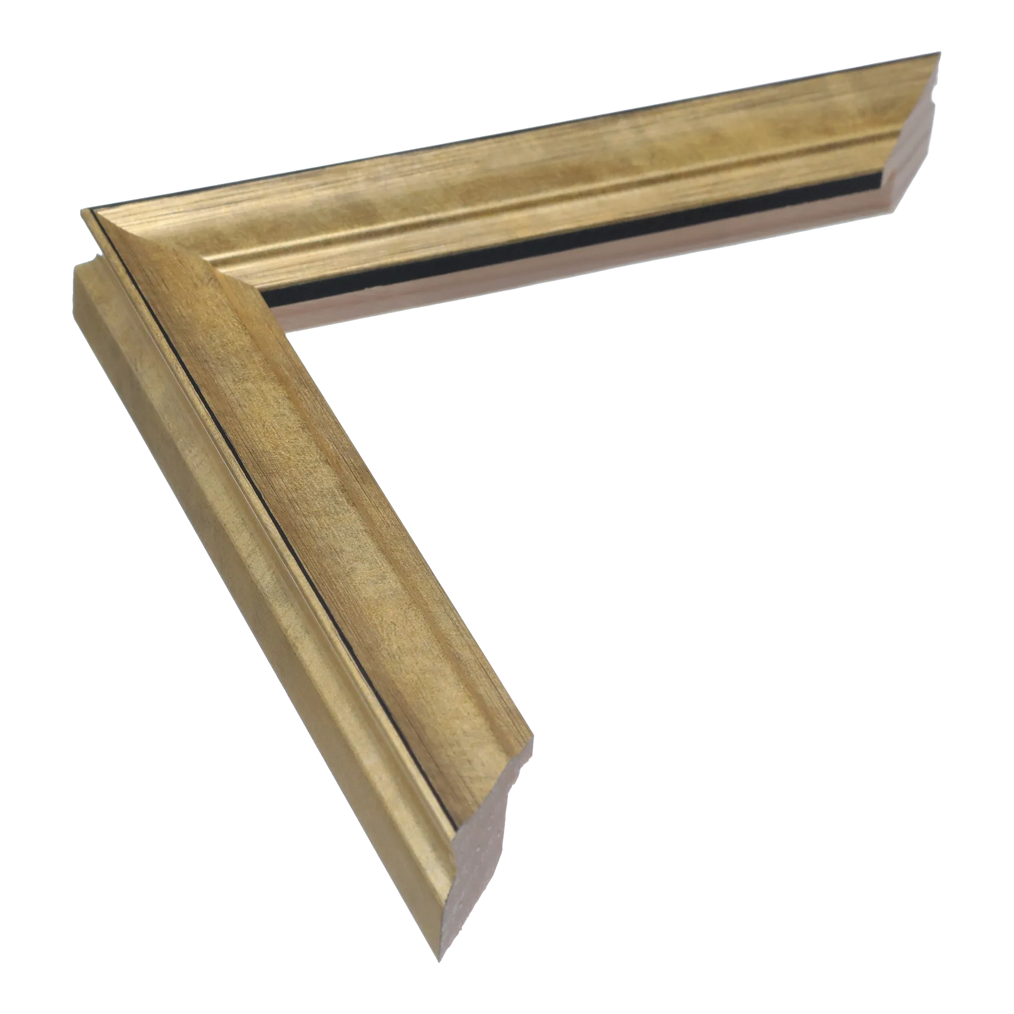 Monarch in soft gold picture frame