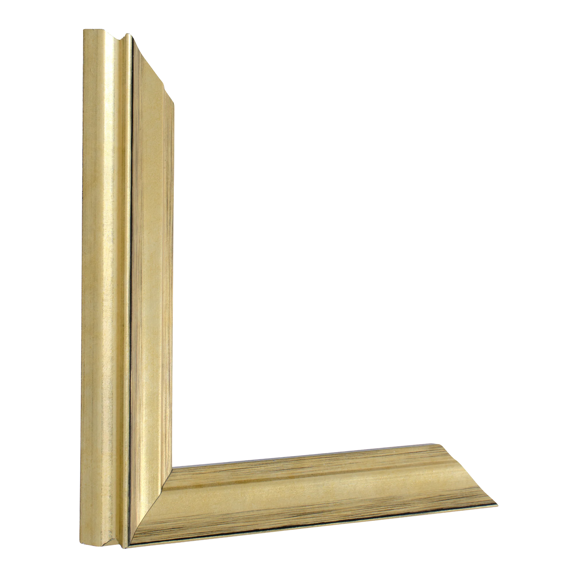 Monarch in soft gold picture frame