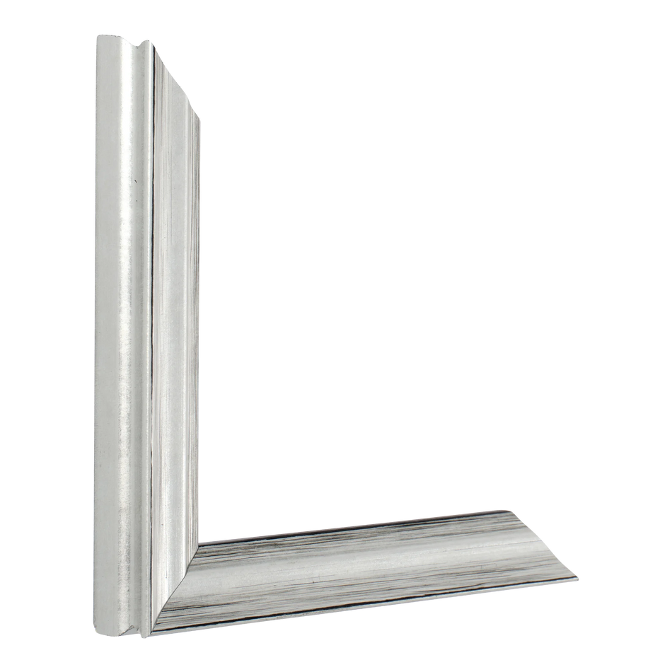 Vertical view of monarch silver picture frame