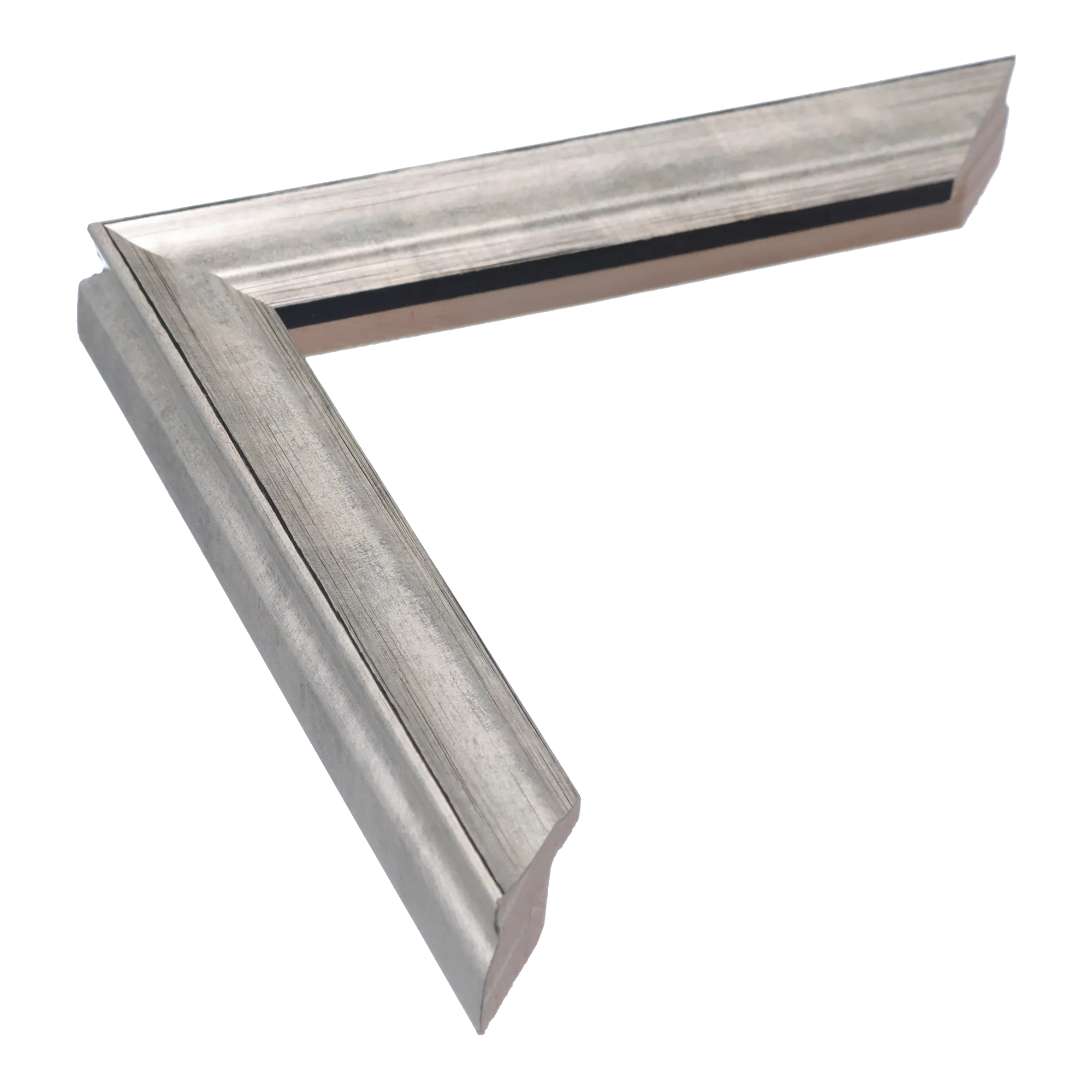Monarch in silver picture frame