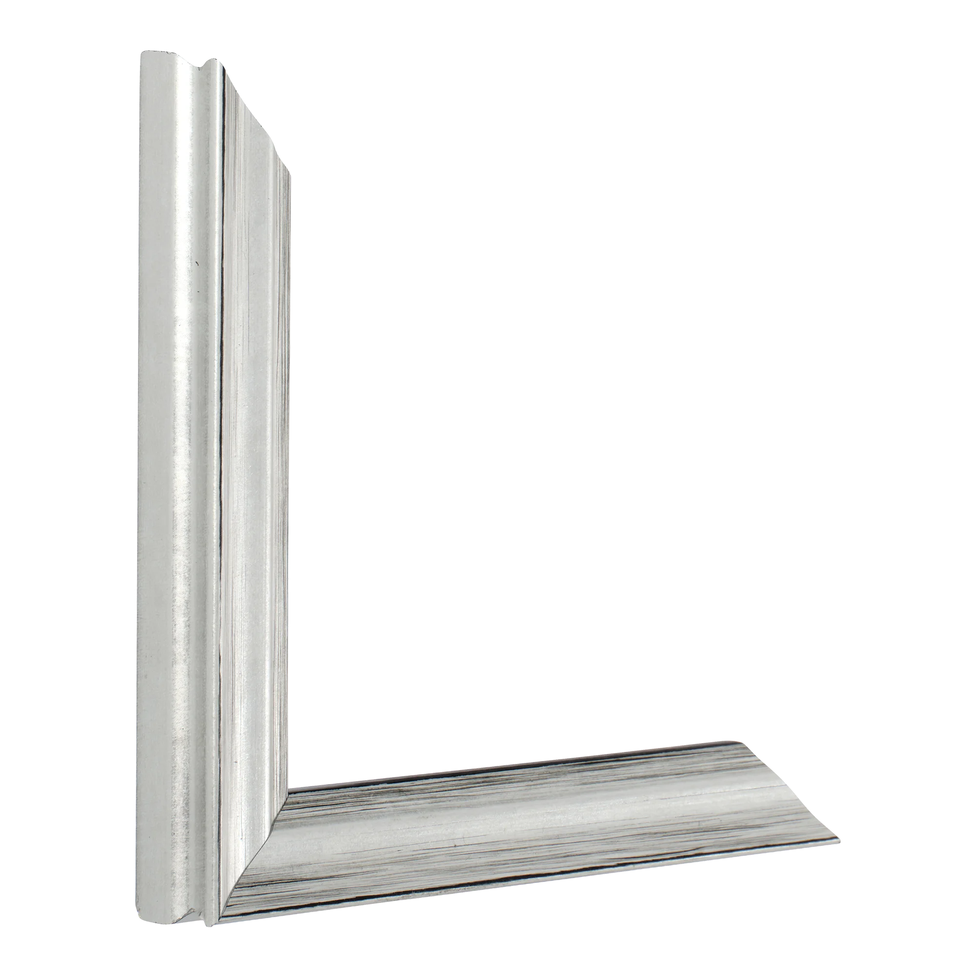 Vertical view of monarch silver picture frame