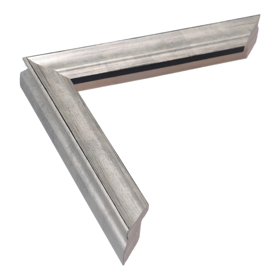 Monarch in silver picture frame