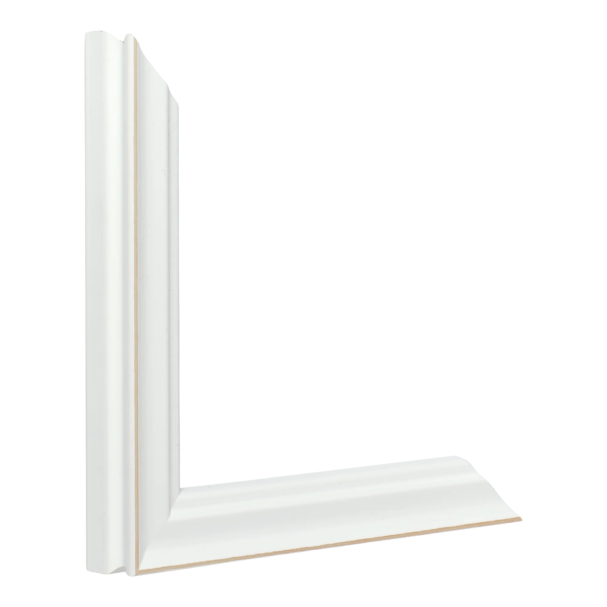 Vertical view of monarch white picture frame