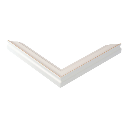 Corner view of Monarch in white picture frame