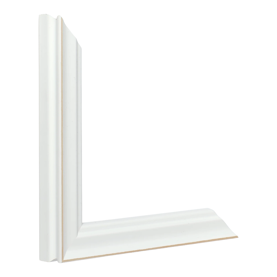 Vertical view of monarch white picture frame