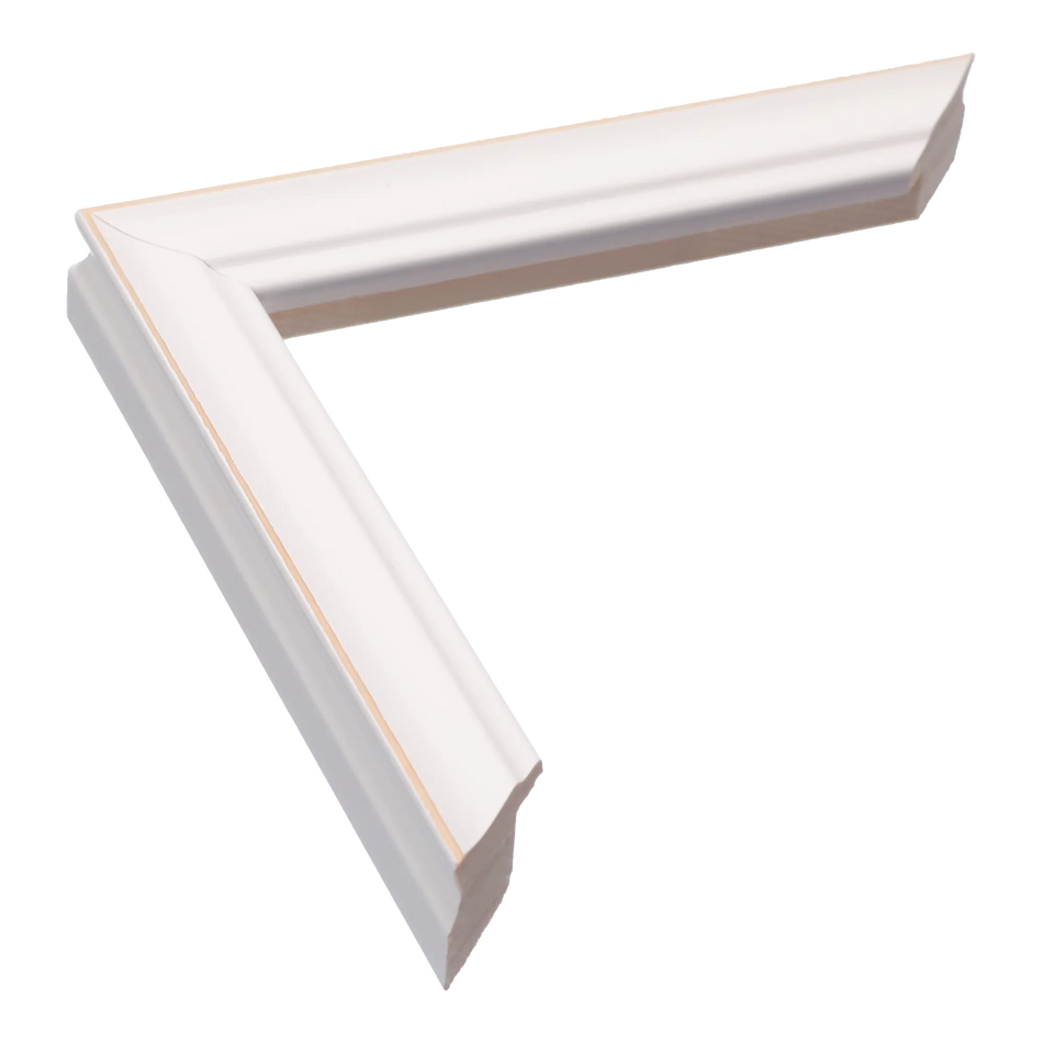 Monarch in white picture frame