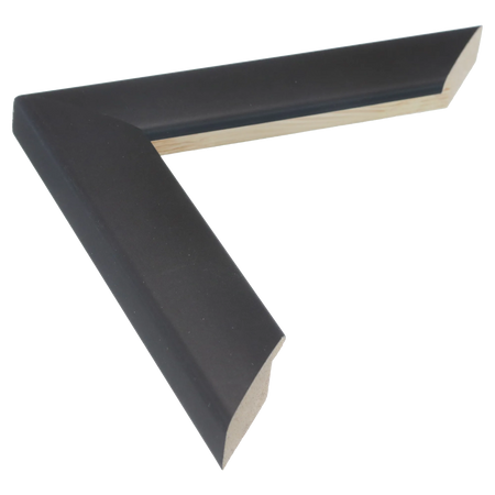 Nero in black picture frame