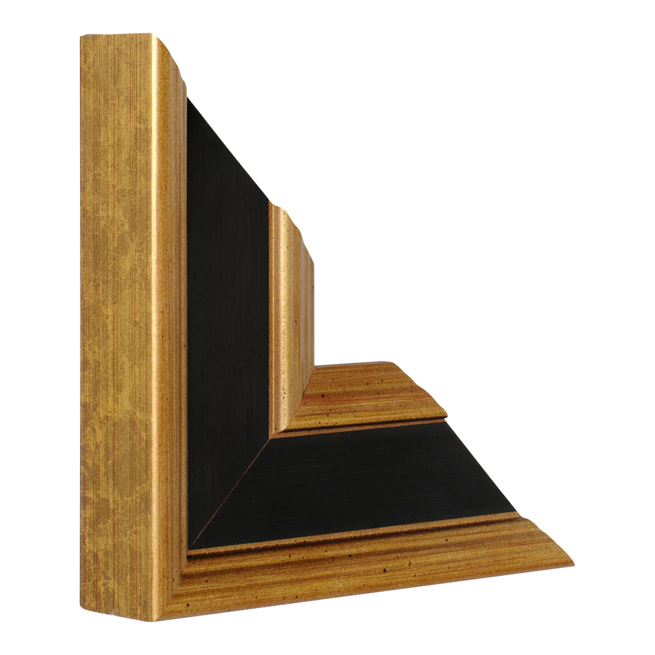 Vertical view of palazzo black & gold picture frame