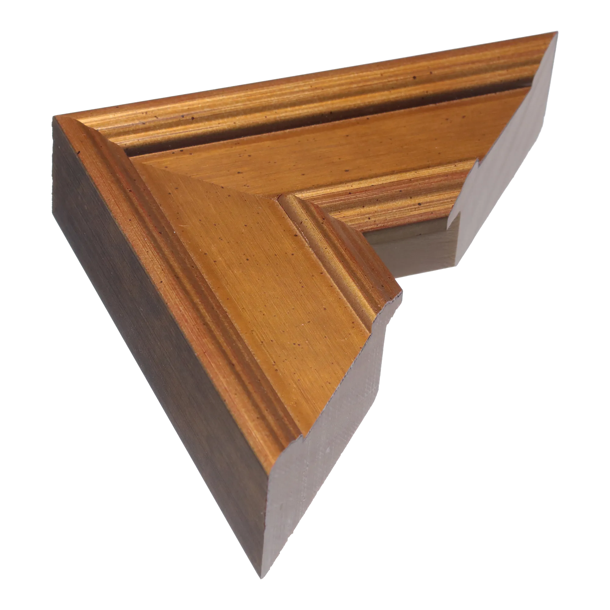 Palazzo in gold picture frame