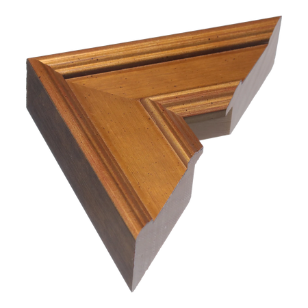 Palazzo in gold picture frame