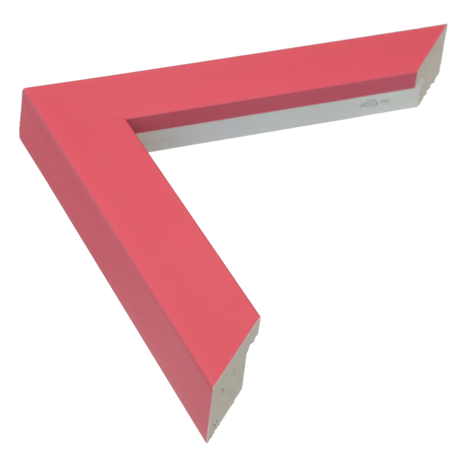 Pure in pink picture frame