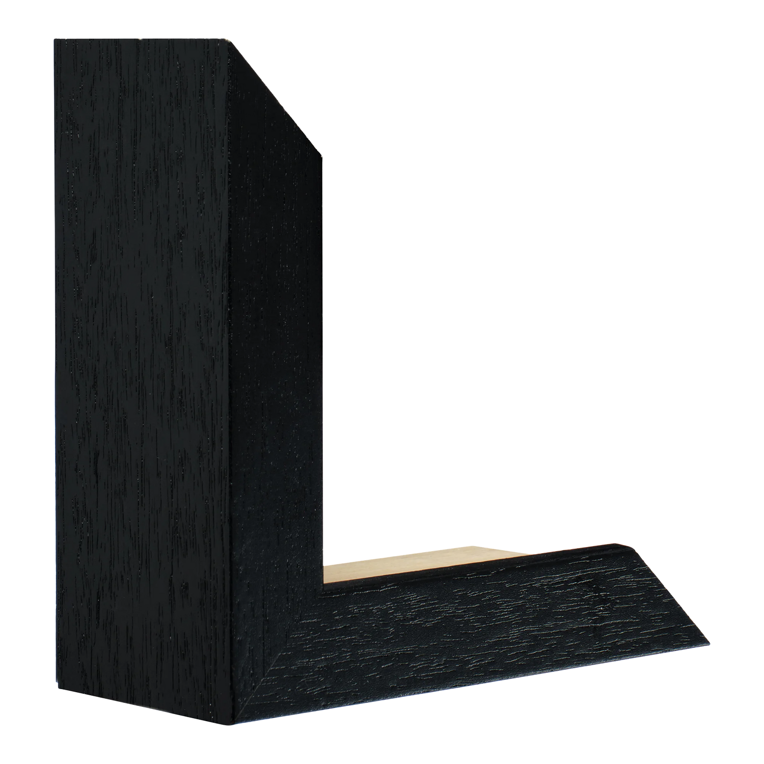 Spacer II in black grain picture frame