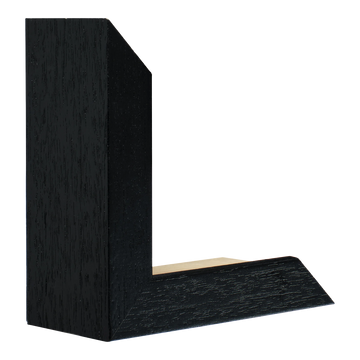 Spacer II in black grain picture frame