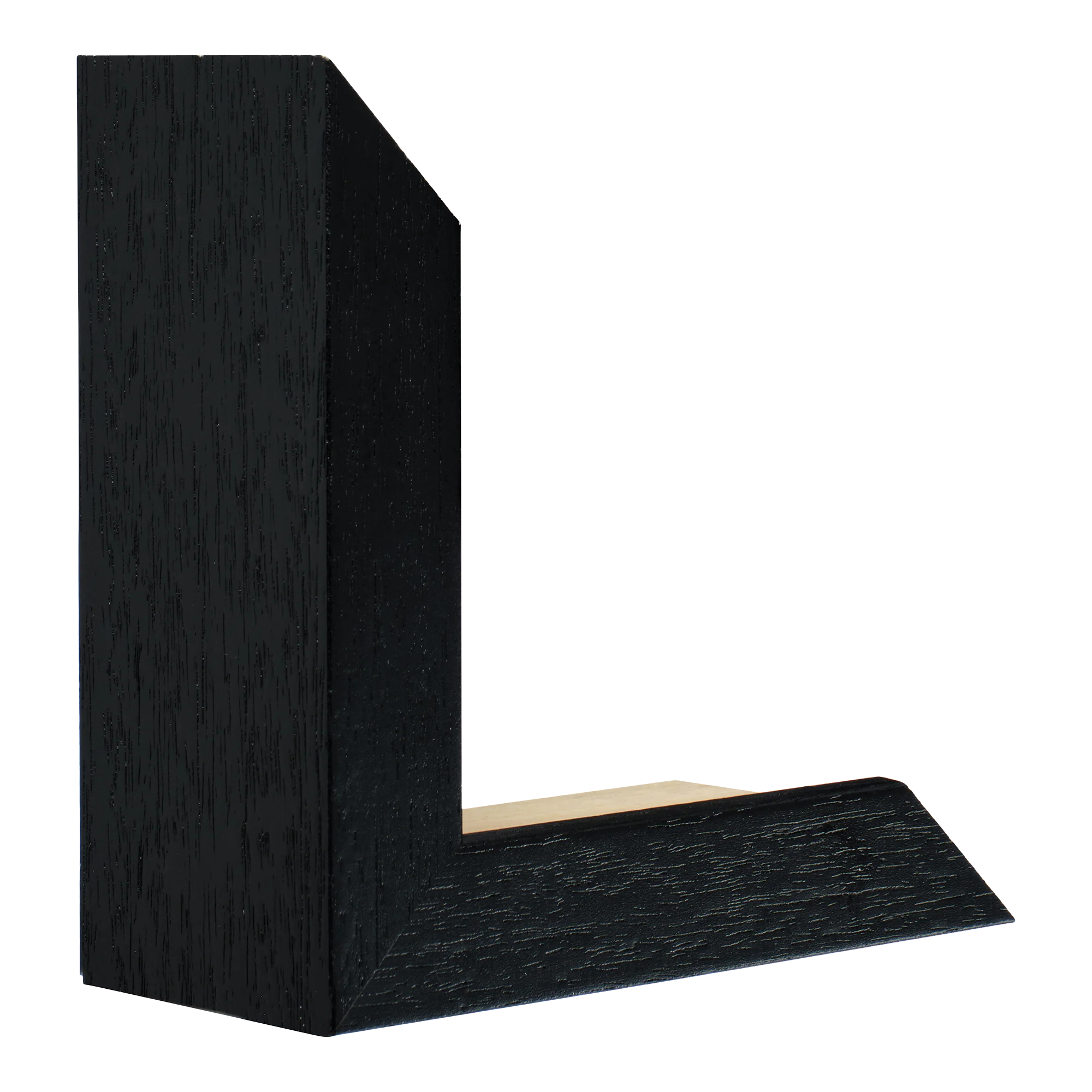 Spacer II in black grain picture frame