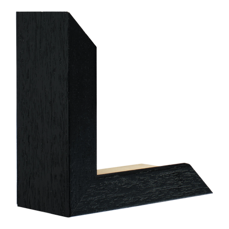 Spacer II in black grain picture frame