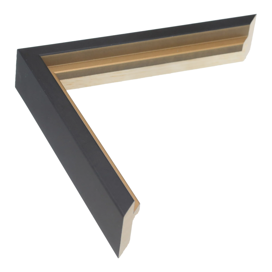 Step in black & gold picture frame