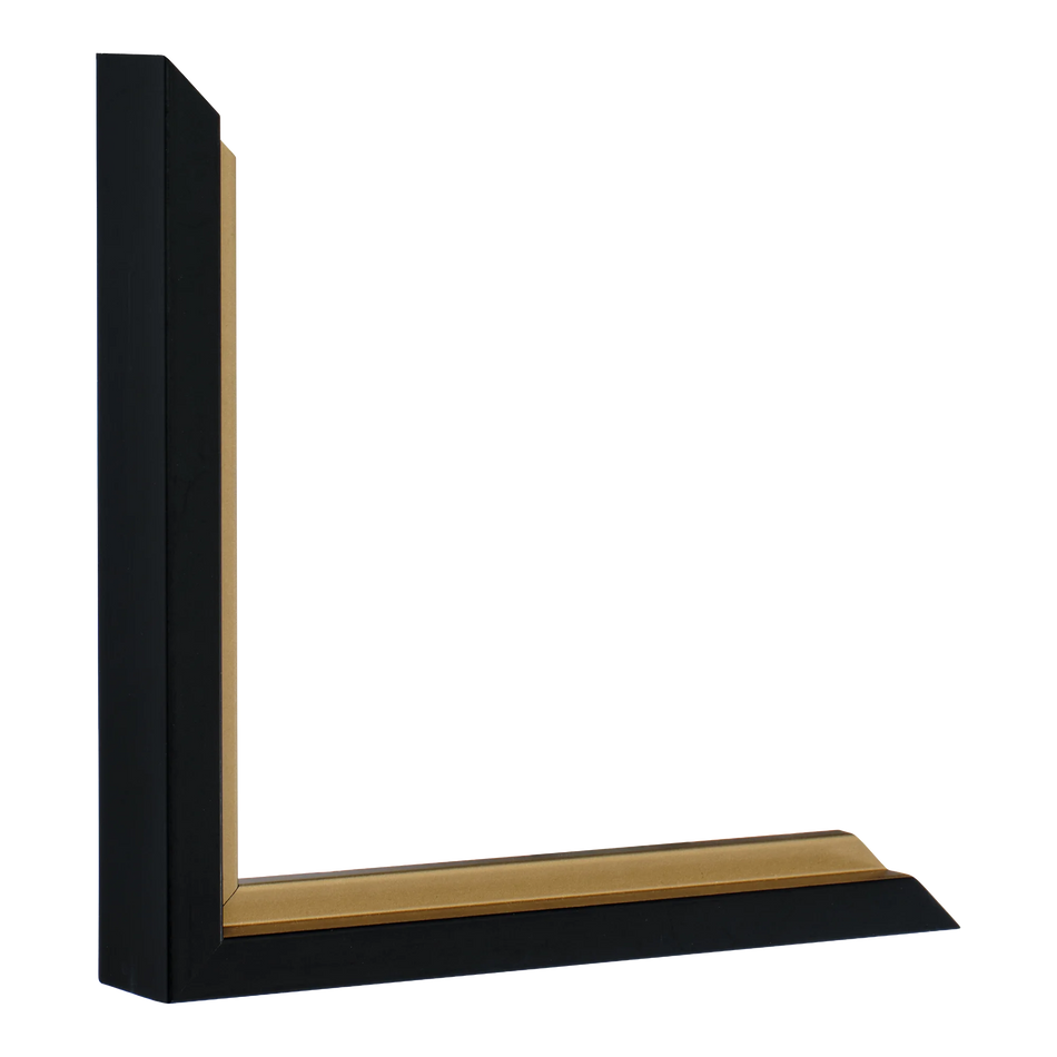 Vertical view of step black & gold picture frame