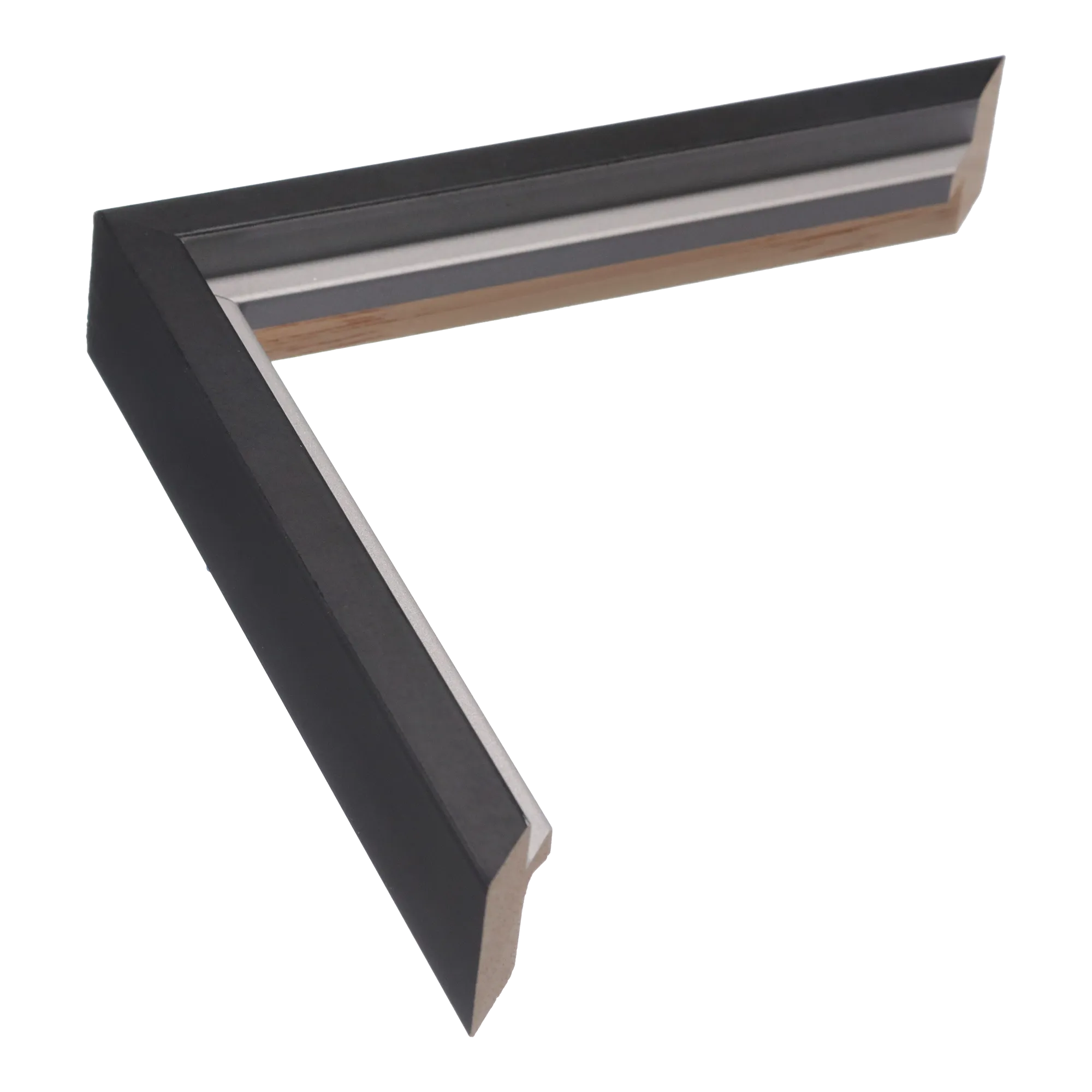 Step in black & silver picture frame