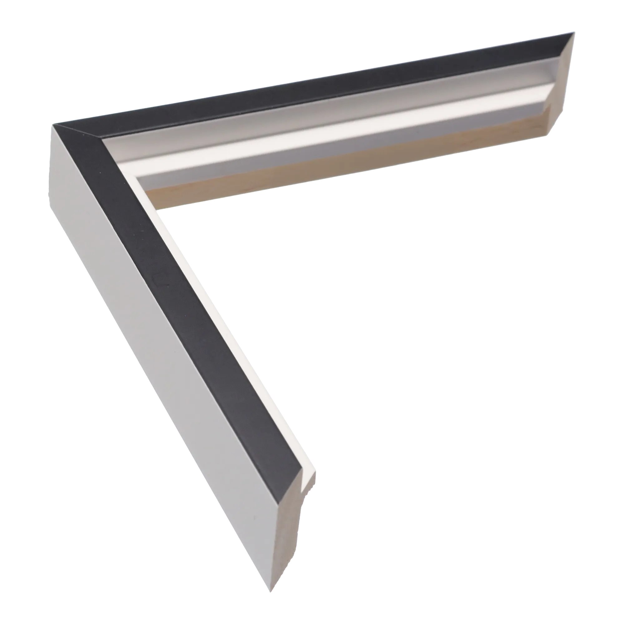 Step in black & white picture frame